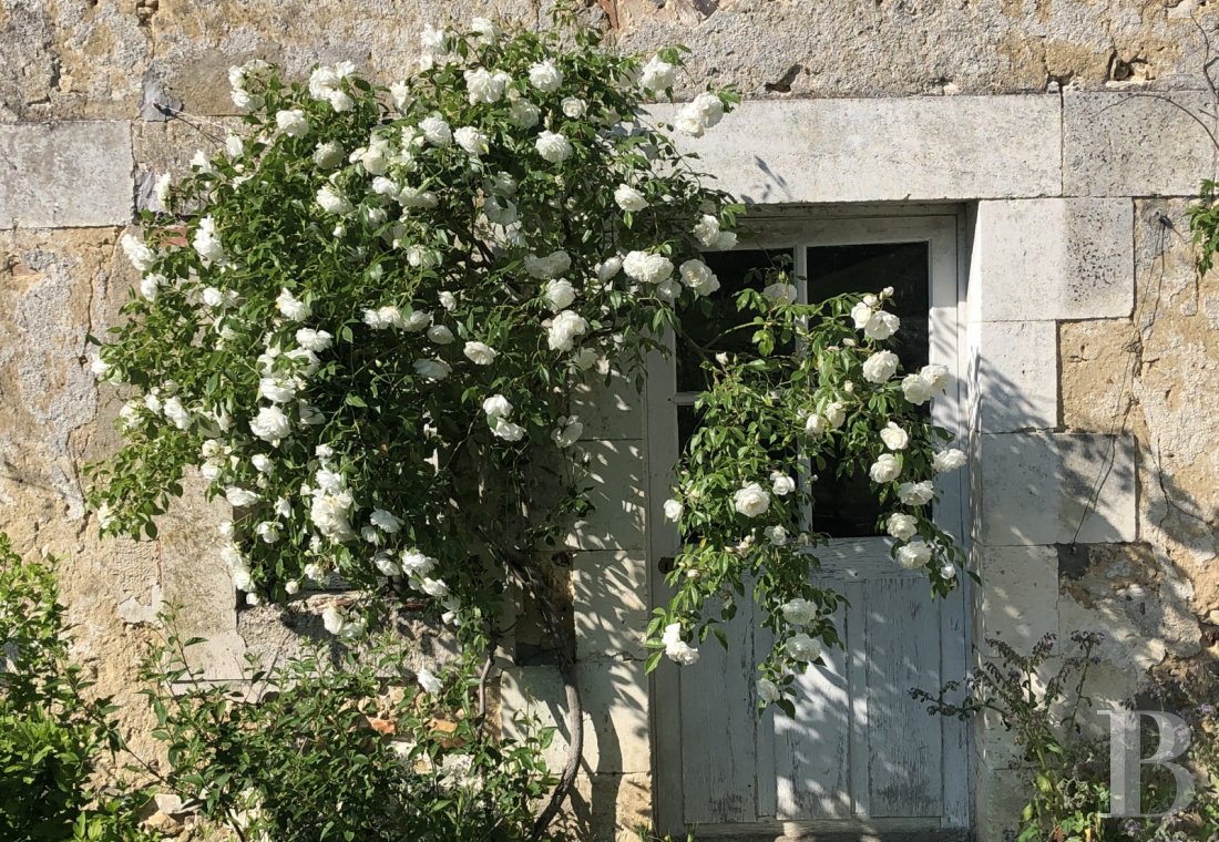 Au nord de la Bourgogne, dans le pays de Puisaye, l’ancienne demeure d’un peintre inspiré par la nature - photo  n°24