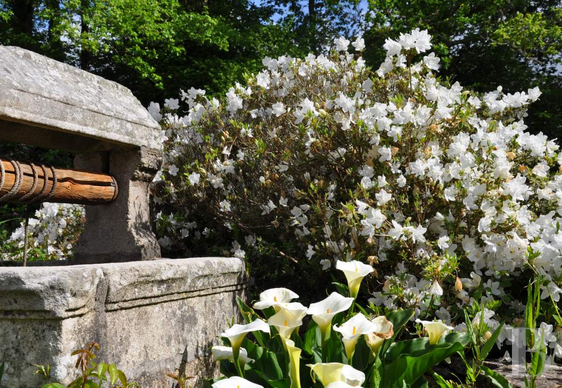 Dans le Finistère, à proximité immédiate de Quimper, un manoir du 16e siècle ouvert à la créativité - photo  n°37