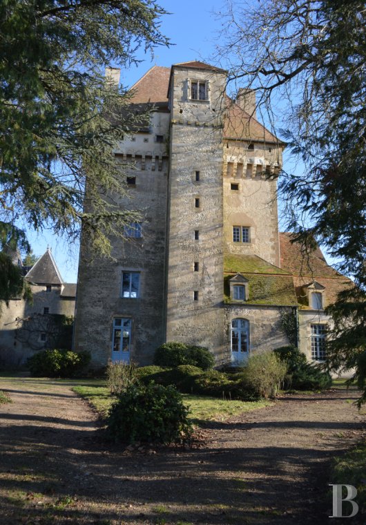 chateaux a vendre centre val de loire   - 5