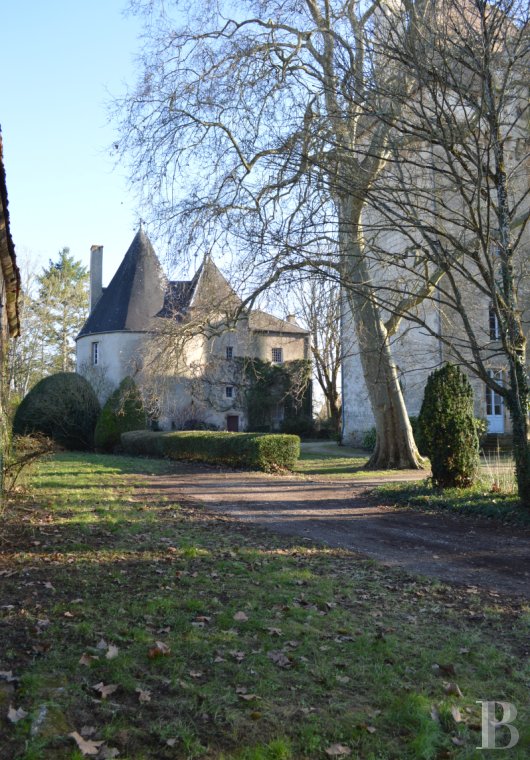 chateaux a vendre centre val de loire   - 3