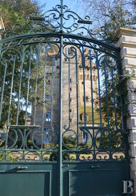 chateaux a vendre centre val de loire   - 1
