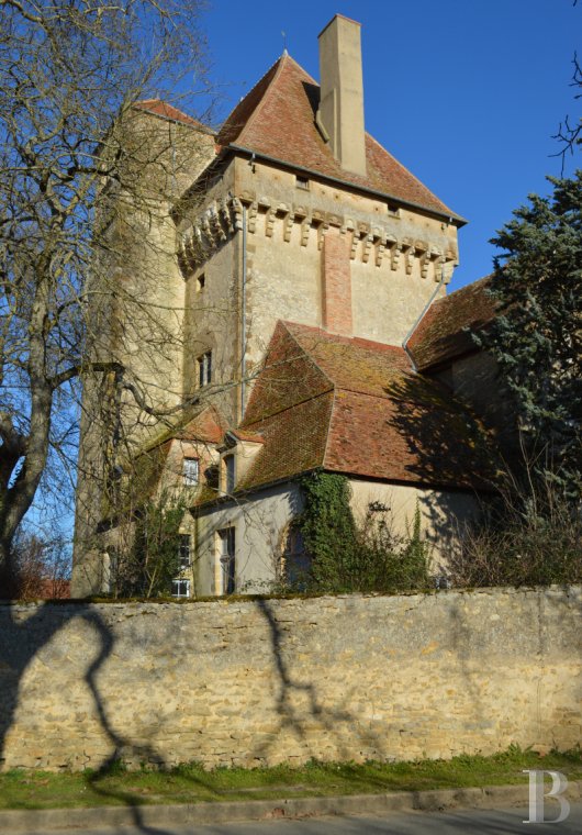 chateaux a vendre centre val de loire   - 2
