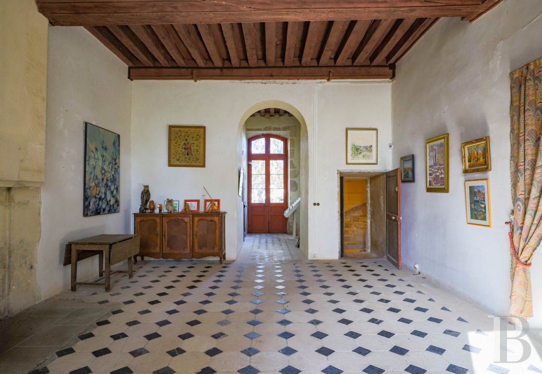 chateaux a vendre centre val de loire   - 9