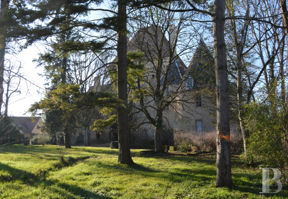 chateaux a vendre centre val de loire   - 15