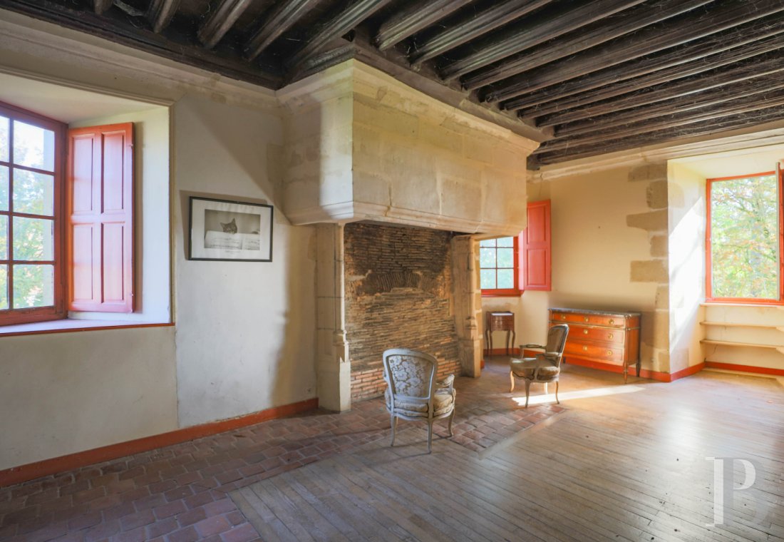 chateaux a vendre centre val de loire   - 10