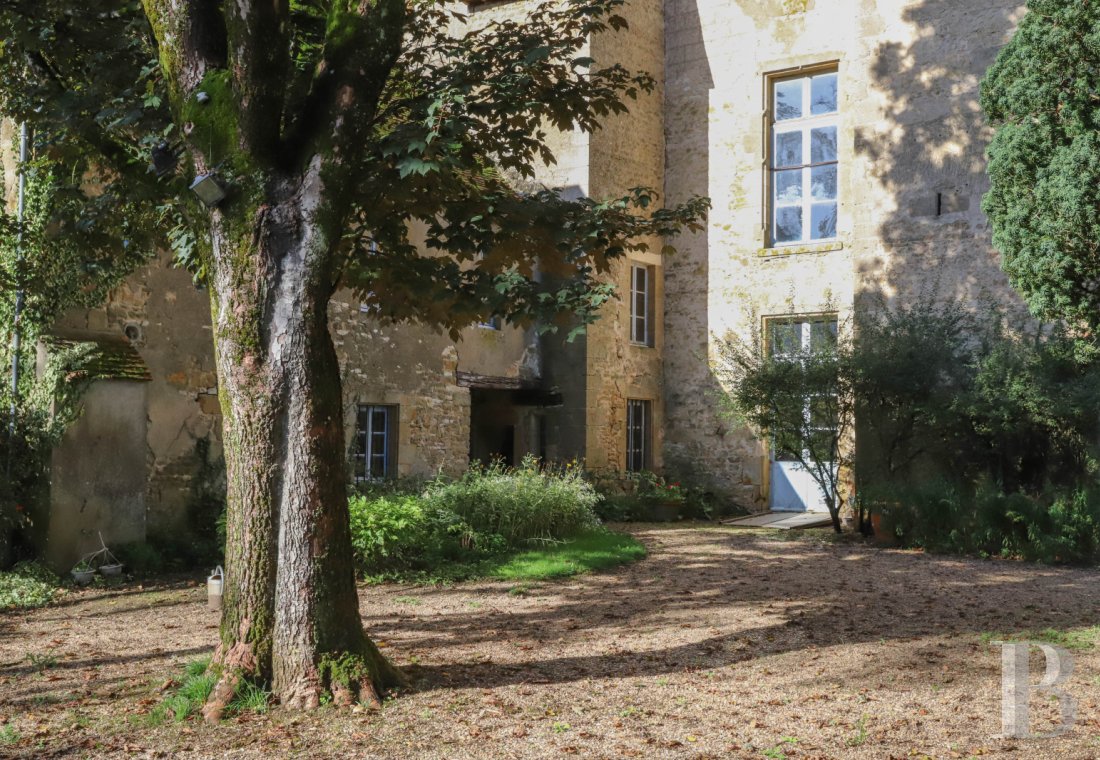 chateaux a vendre centre val de loire   - 7