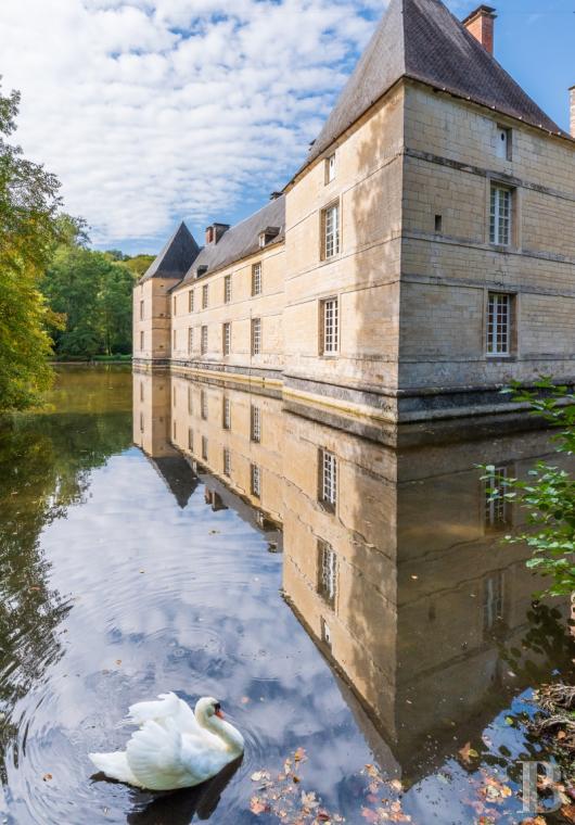 En Haute-Marne, à l’ouest de Chaumont, un château du 16e siècle dédié aux arts de vivre - photo  n°7