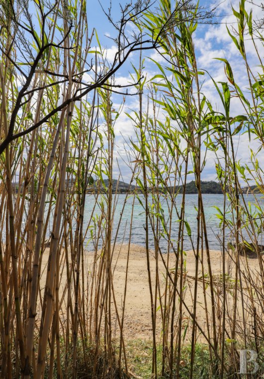 À Saint-Tropez, dans la baie des Canoubiers, un ancien atelier d’artiste et son jardin méditerranéen - photo  n°3
