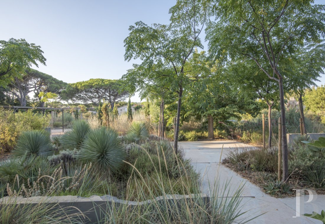 À Saint-Tropez, dans la baie des Canoubiers, un ancien atelier d’artiste et son jardin méditerranéen - photo  n°5