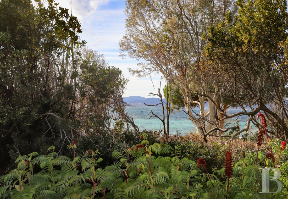 À Saint-Tropez, dans la baie des Canoubiers, un ancien atelier d’artiste et son jardin méditerranéen - photo  n°4
