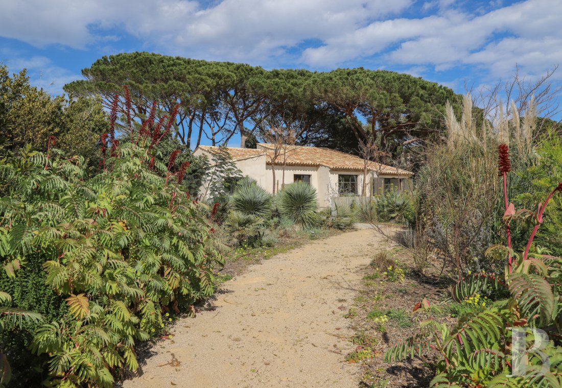 À Saint-Tropez, dans la baie des Canoubiers, un ancien atelier d’artiste et son jardin méditerranéen - photo  n°35