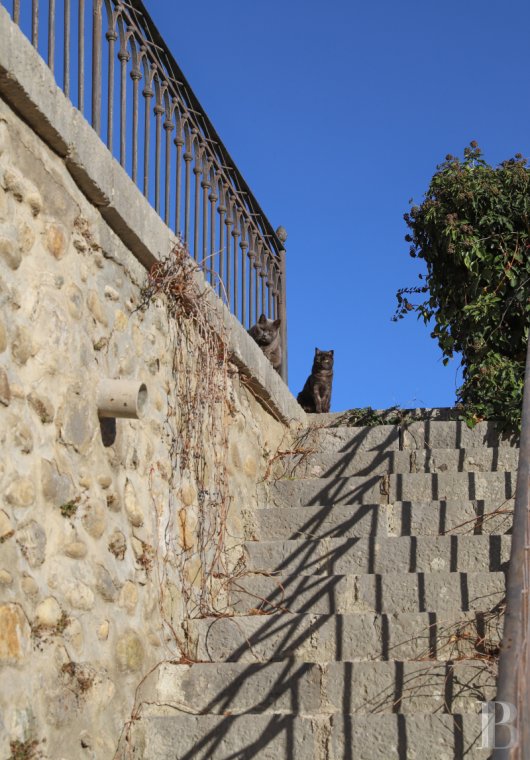 chateaux a vendre paca   - 8