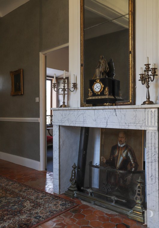 chateaux a vendre paca   - 12