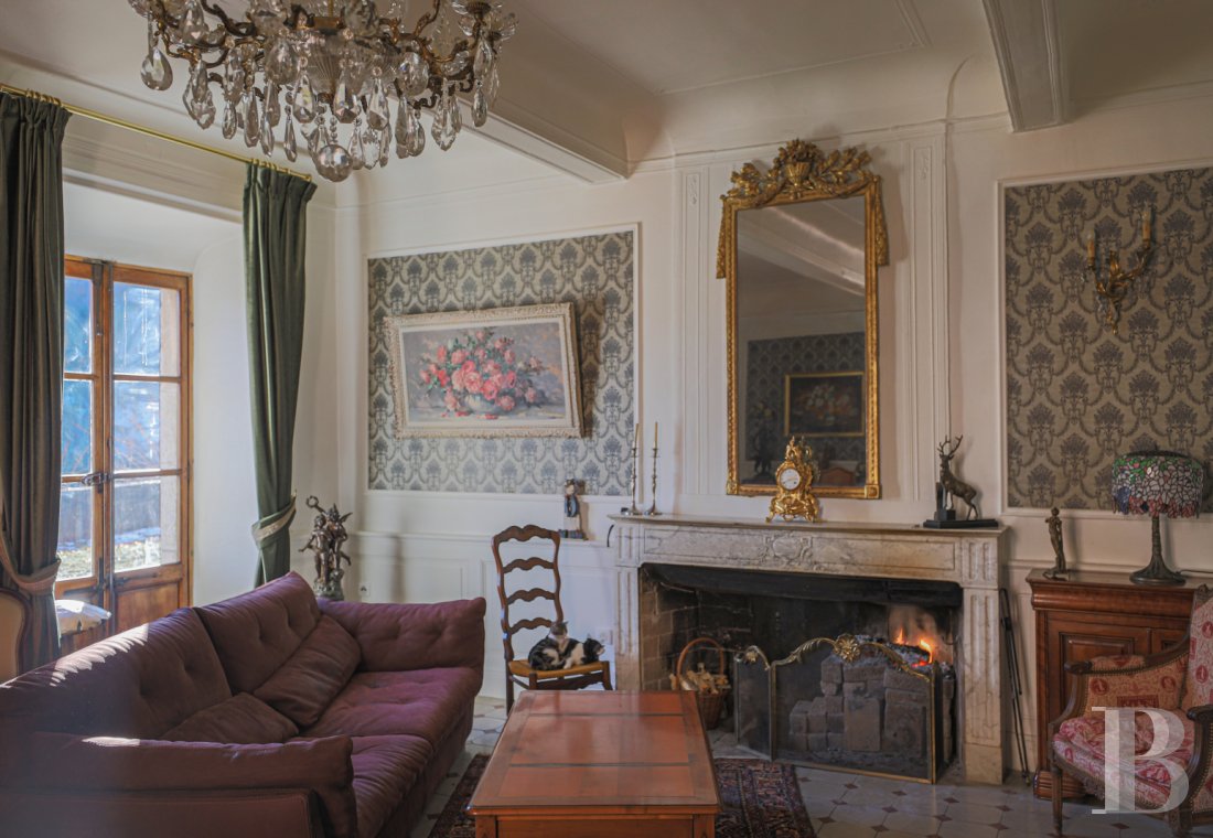 chateaux a vendre paca   - 10