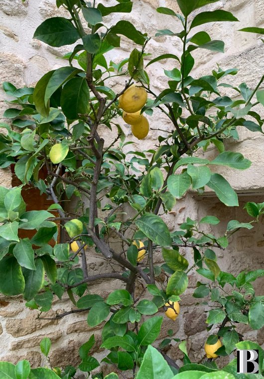 À Uzès, dans le Gard, une maison du 17e siècle imprégnée de voyages - photo  n°2