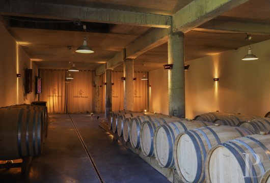 En Gironde, sur les terres des côtes-de-bourg, une chartreuse du 18e siècle au milieu de ses vignes - photo  n°1