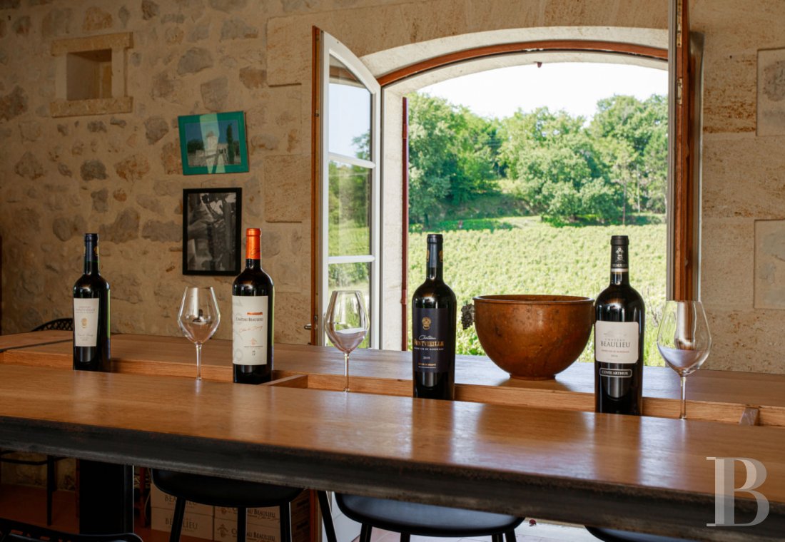 En Gironde, sur les terres des côtes-de-bourg, une chartreuse du 18e siècle au milieu de ses vignes - photo  n°4