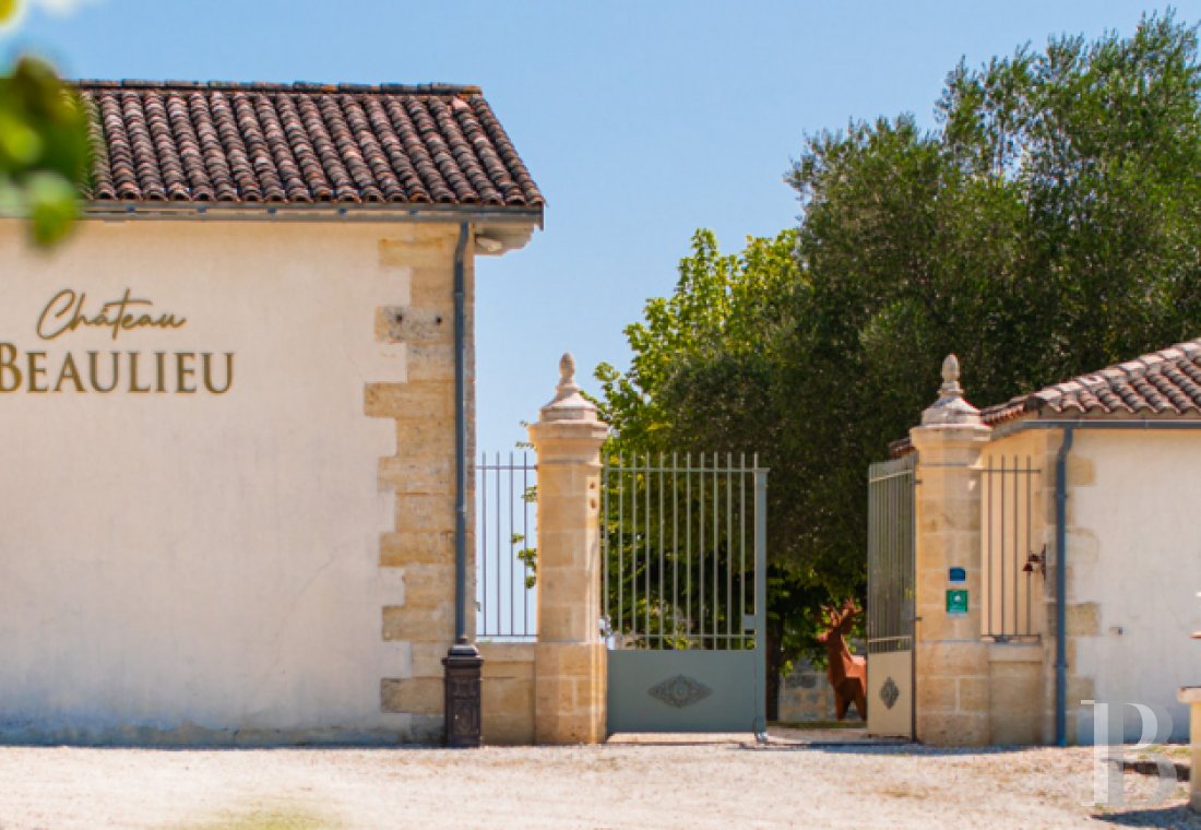 En Gironde, sur les terres des côtes-de-bourg, une chartreuse du 18e siècle au milieu de ses vignes - photo  n°40