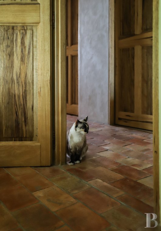Dans le Luberon, en bordure de Lourmarin, une bâtisse du 17e siècle tout en lumière et en espace - photo  n°13