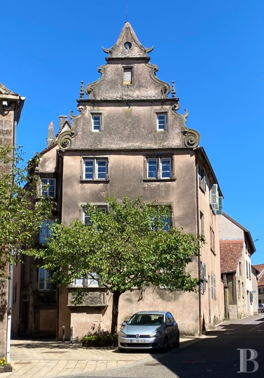 monuments historiques à vendre - alsace - En Alsace, dans un bourg avec commerces et services, un emblématique Monument Historique de style Renaissance