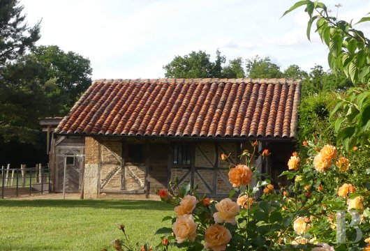maisons de caractere a vendre rhones alpes   - 9