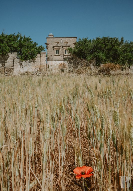 Dans les Pouilles, près de Nardo, une ancienne tour de garde transformée en élégante demeure patricienne - photo  n°4