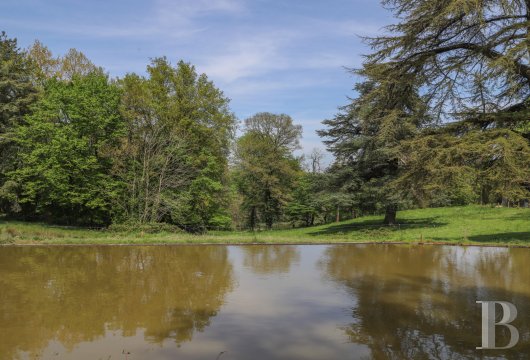 manoirs a vendre poitou charentes   - 11