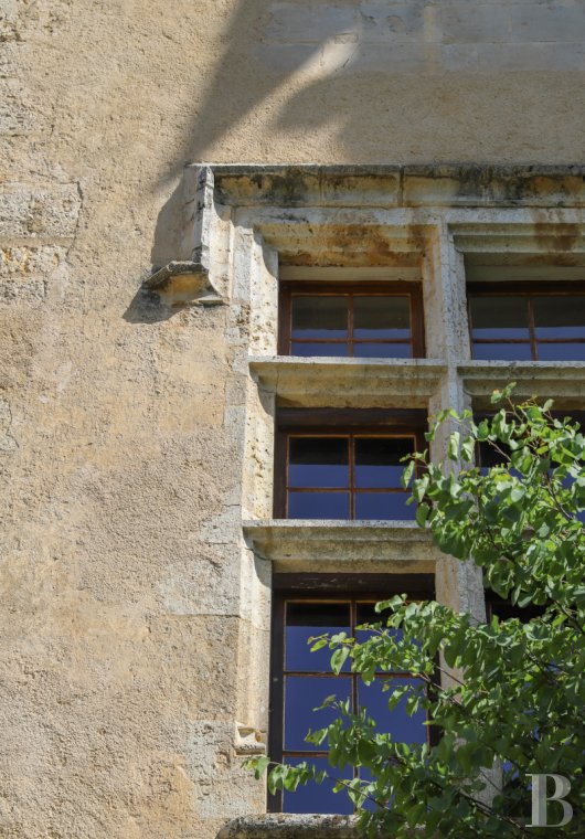 chateaux a vendre paca   - 3