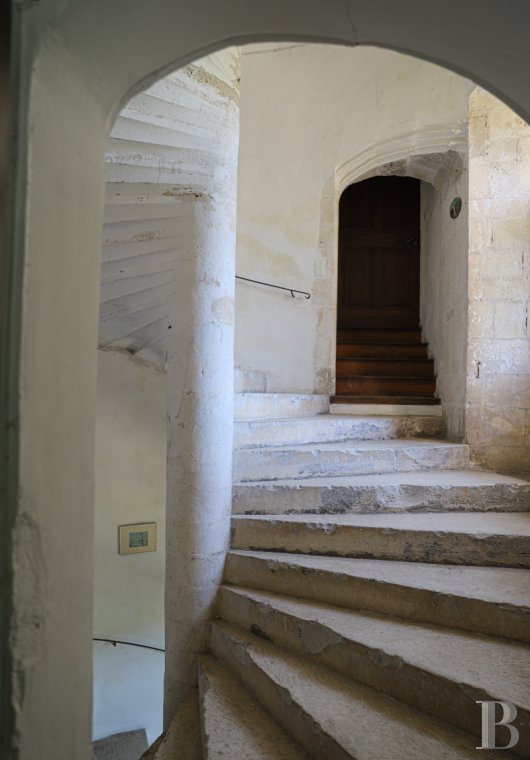 chateaux a vendre paca   - 9