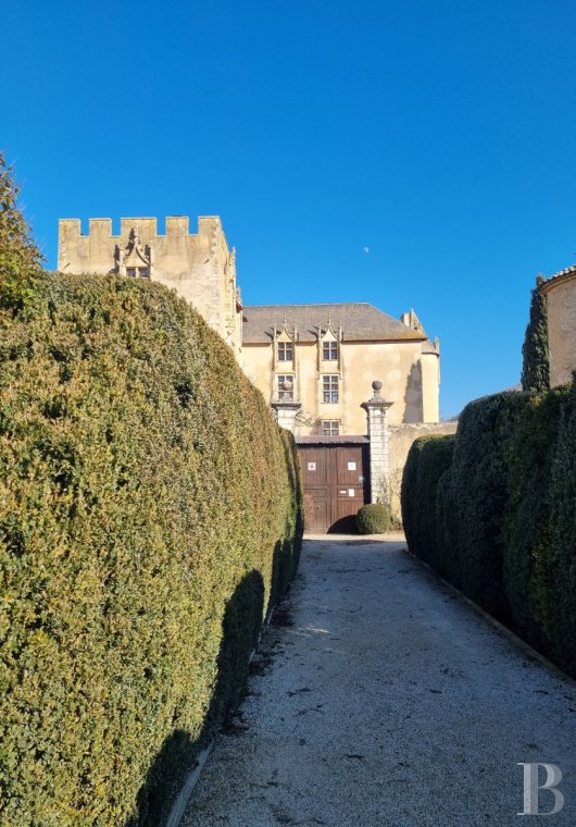 chateaux a vendre paca   - 22
