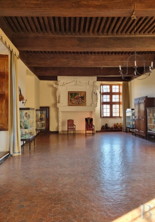 chateaux a vendre paca   - 7