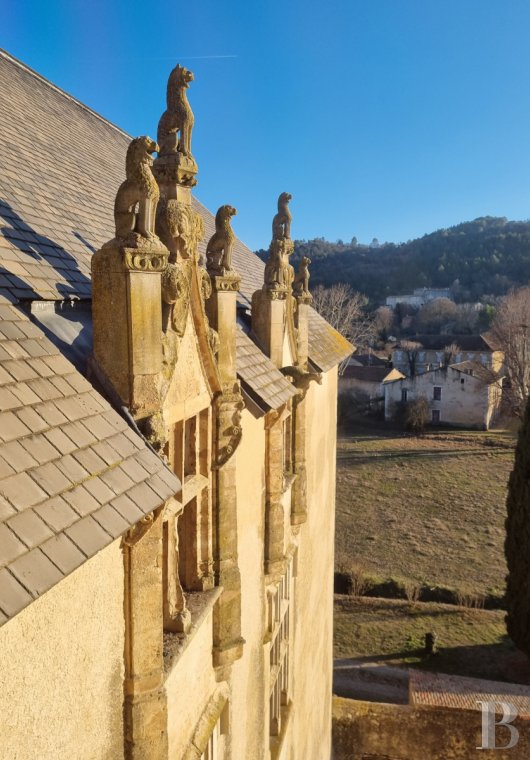 chateaux a vendre paca   - 4