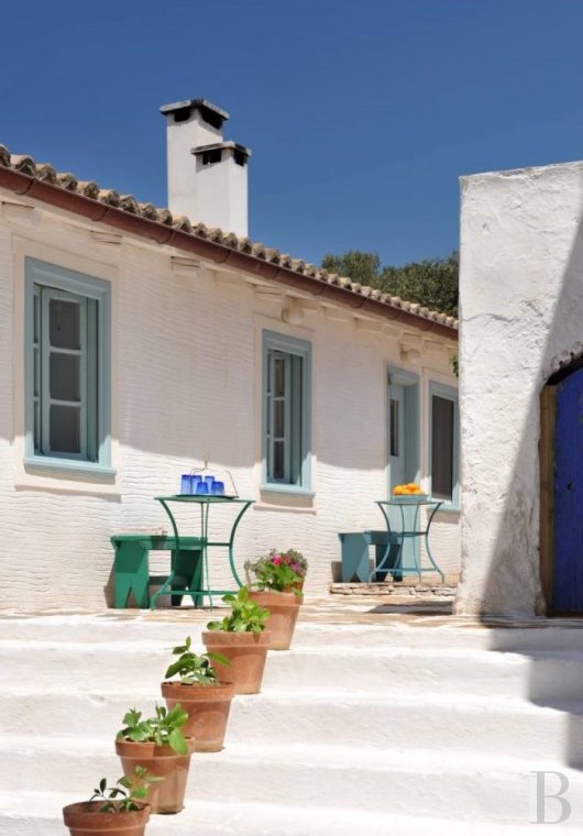 Au nord des Cyclades, une île privée de quatre cents hectares, proche d’Athènes et à l’écart du monde - photo  n°23