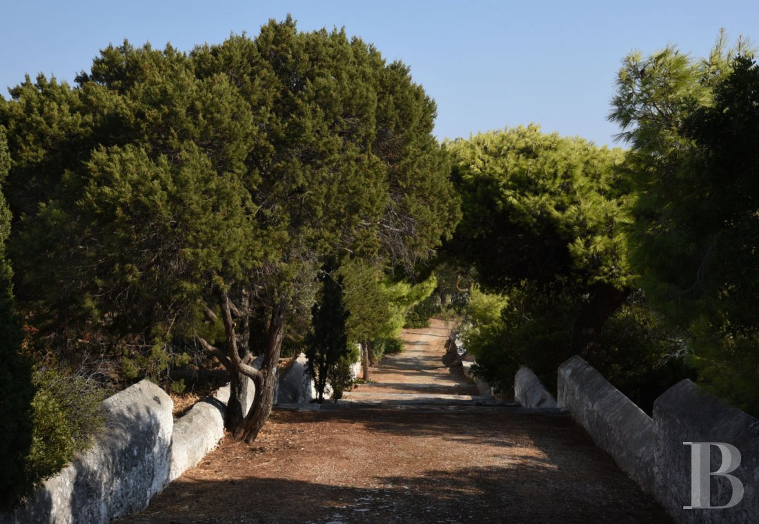 Au nord des Cyclades, une île privée de quatre cents hectares, proche d’Athènes et à l’écart du monde - photo  n°5