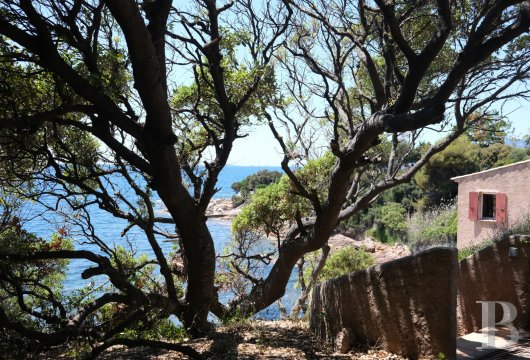 En Corse, dans le golfe d’Ajaccio, un simple cabanon devenu une perle rare - photo  n°2