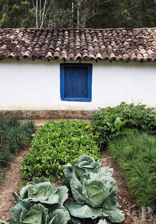 Au Brésil, dans l’État de São Paolo, une fazenda en autosubsistance dédiée à l’art et à la nature - photo  n°9