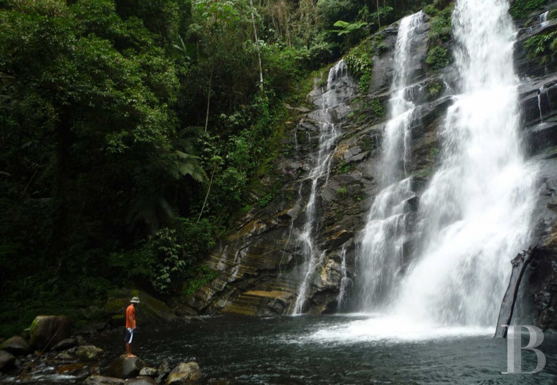 À Picinguaba, sur la côte brésilienne entre São Paulo et Rio de Janeiro, une maison d’inspiration coloniale en pleine nature  - photo  n°24