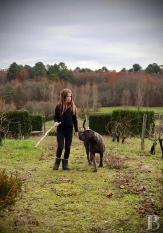 En Dordogne, entre Bergerac et Saint-Astier, un domaine du 14e siècle entouré de 13 hectares de bois et prairies - photo  n°7