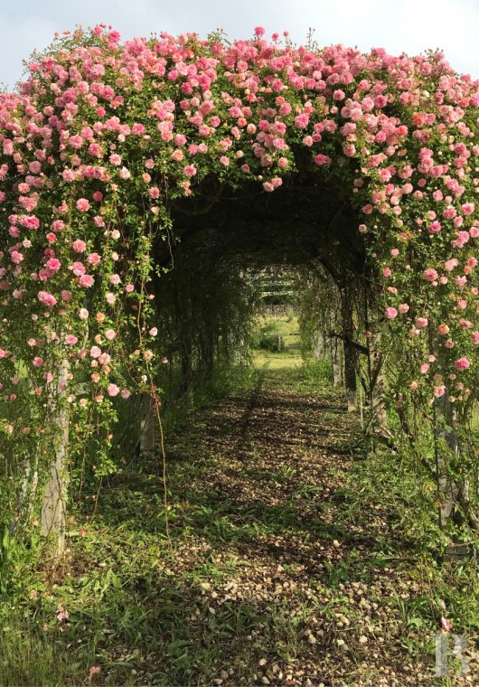 En Dordogne, entre Bergerac et Saint-Astier, un domaine du 14e siècle entouré de 13 hectares de bois et prairies - photo  n°6
