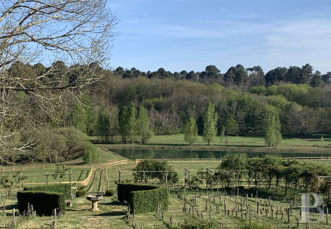 En Dordogne, entre Bergerac et Saint-Astier, un domaine du 14e siècle entouré de 13 hectares de bois et prairies - photo  n°19