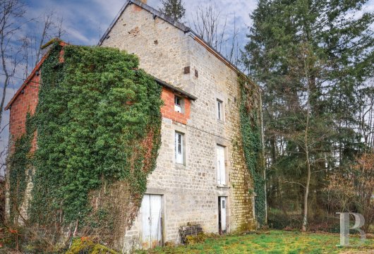 moulins a vendre bourgogne   - 4