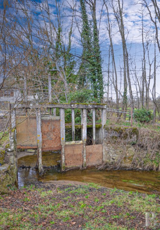 moulins a vendre bourgogne   - 11