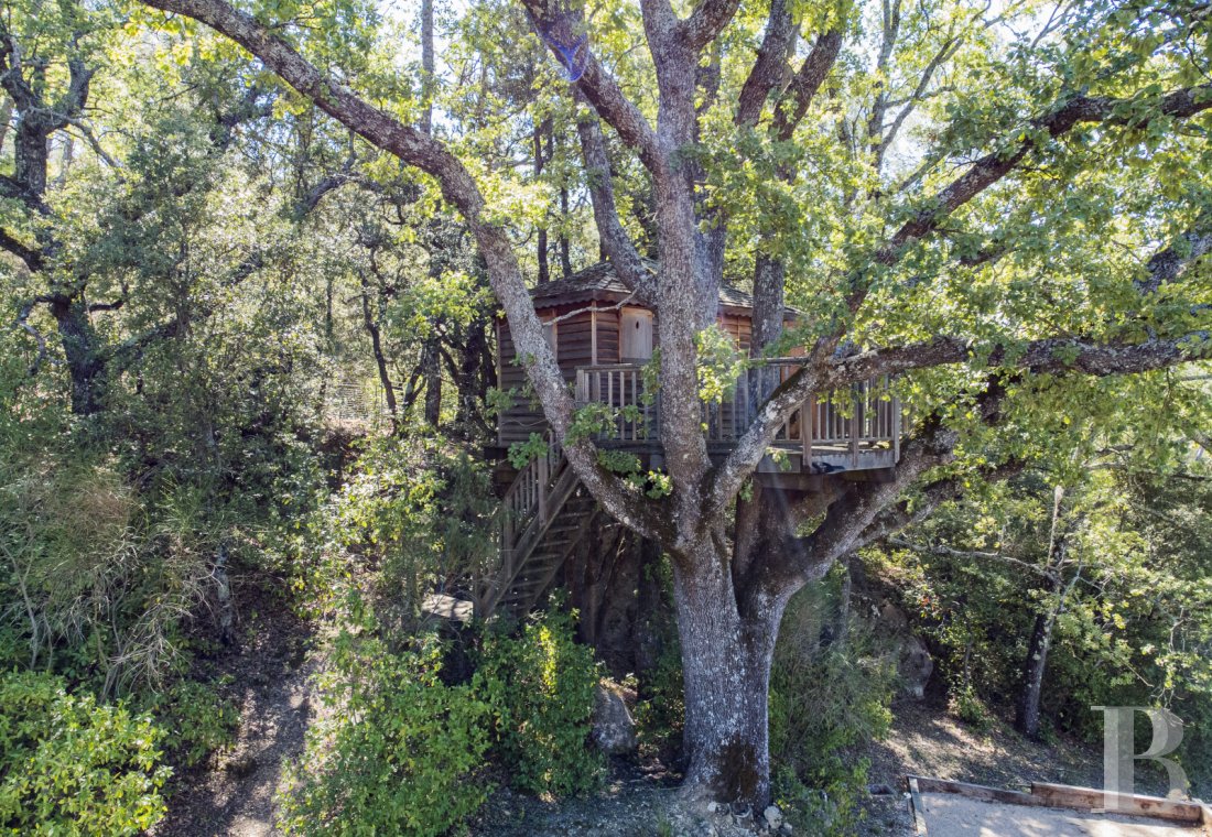 À Barjols, dans le Var, au cœur de la Provence verte, une maison de famille du 17e siècle entourée d’oliviers et de chênes truffiers - photo  n°35