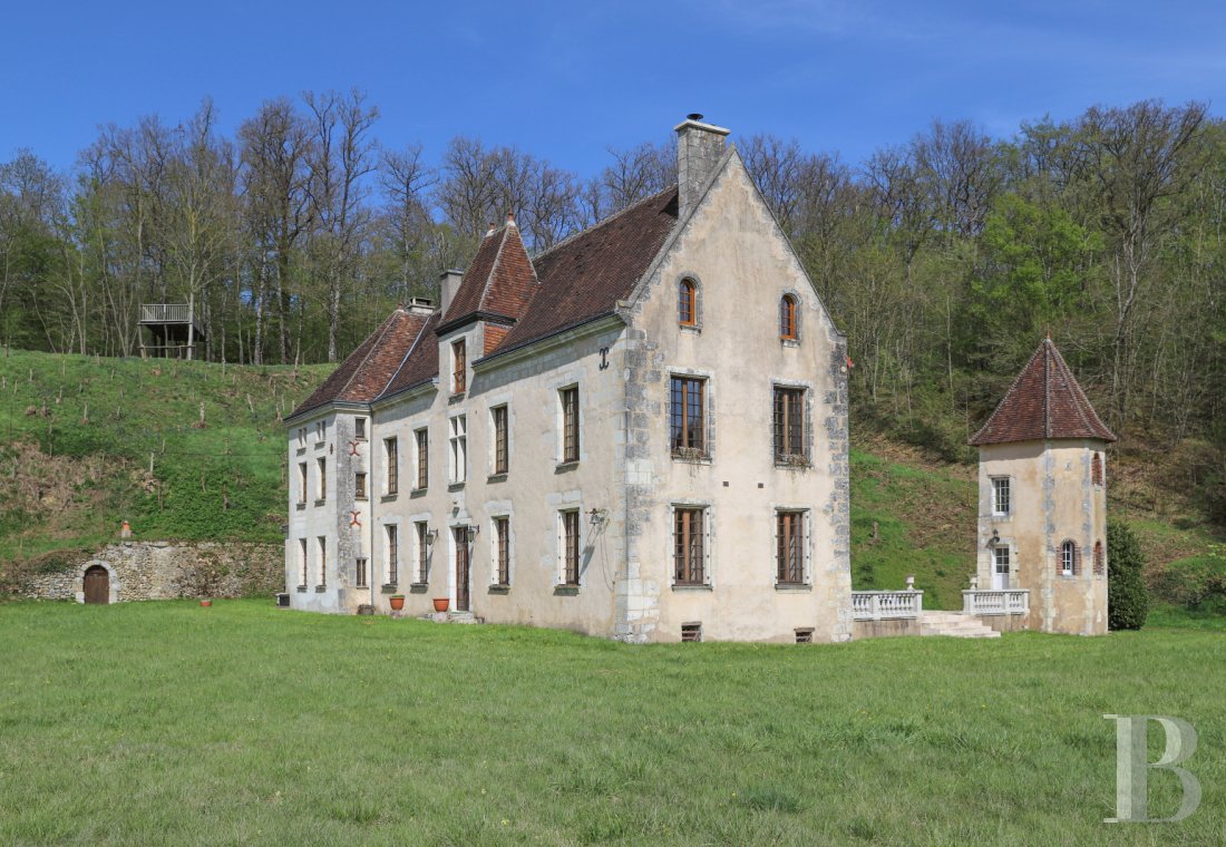 châteaux à vendre - centre-val-de-loire - En Centre Val-de-Loire, dans le Perche Vendômois, un château du 16ème siècle et ses dépendances sur près de 9 ha