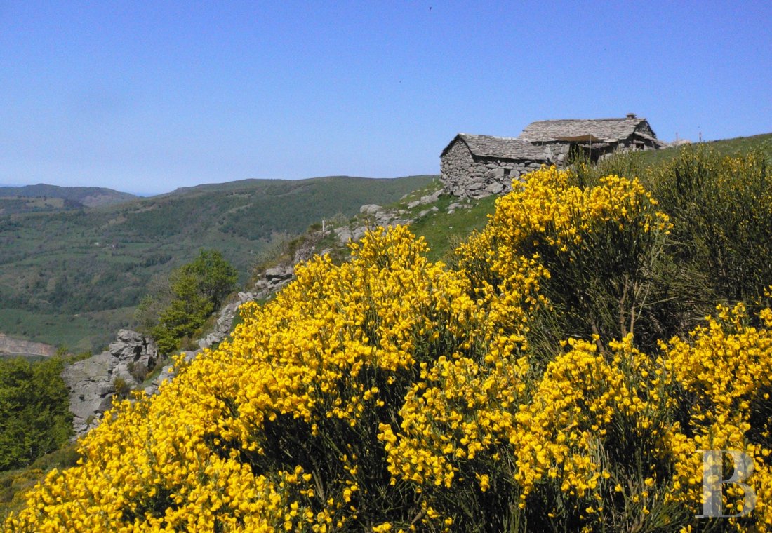 Dans le Parc naturel des volcans d’Auvergne, à 1500 m au-dessus de la vallée de la Cère,  un buron transformé en gîte pour contempler la nature - photo  n°16