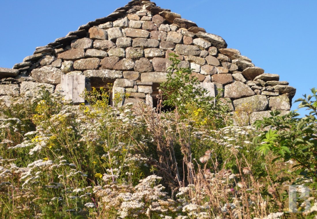Dans le Parc naturel des volcans d’Auvergne, à 1500 m au-dessus de la vallée de la Cère,  un buron transformé en gîte pour contempler la nature - photo  n°5
