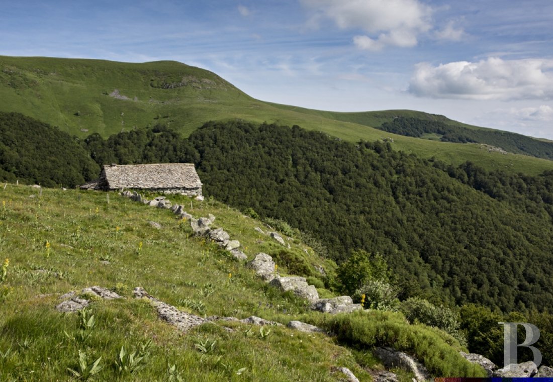 Dans le Parc naturel des volcans d’Auvergne, à 1500 m au-dessus de la vallée de la Cère,  un buron transformé en gîte pour contempler la nature - photo  n°6