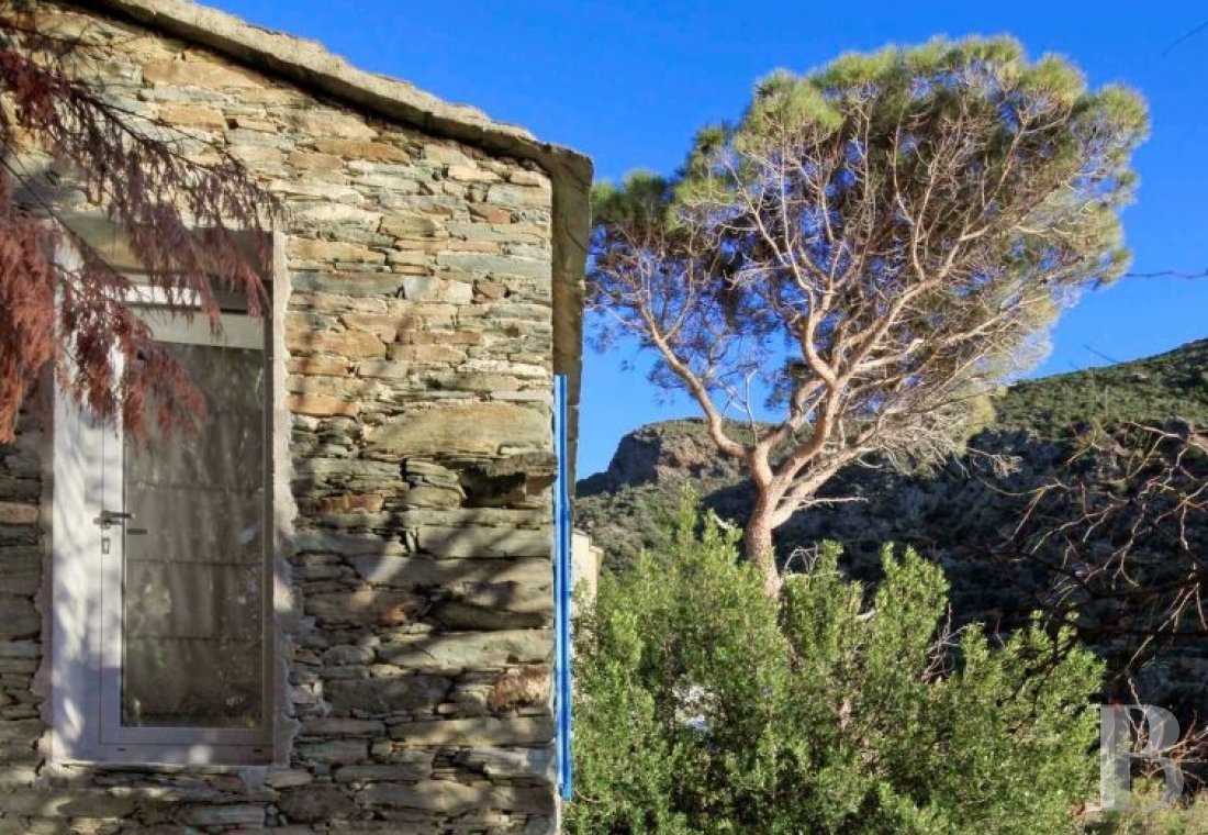 Dans les collines du pittoresque village de Nonza, une maison toute simple posée comme une vigie - photo  n°7