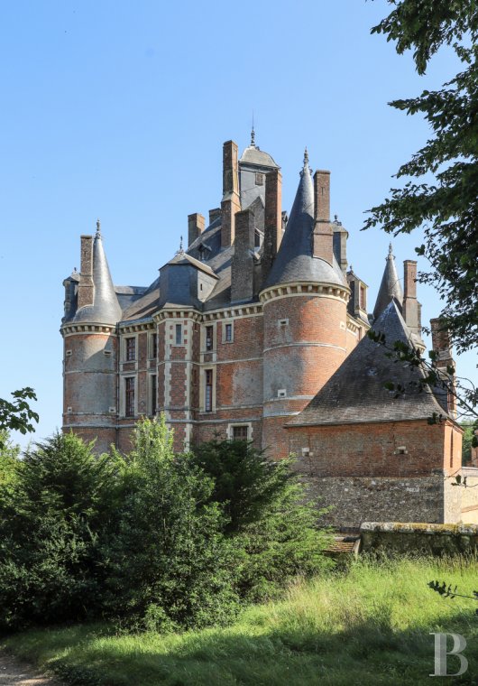 chateaux a vendre champagne ardennes   - 4