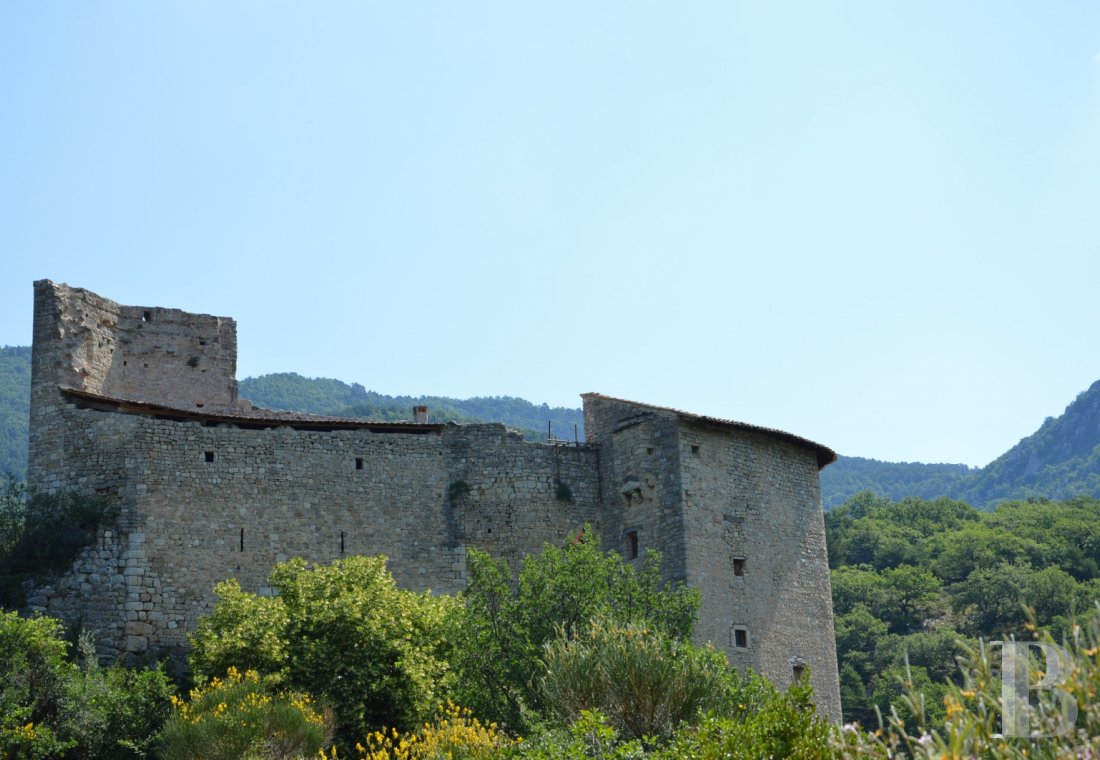 French castles for sale Patrice Besse Castles and Mansions of France is